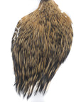 Golden Badger Fly Tying Cape Neck Australia