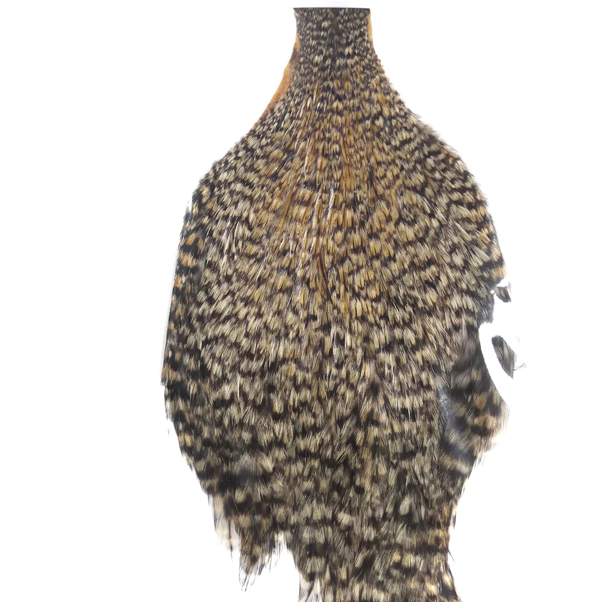 Golden Grizzly Fly Tying Cape Neck Australia