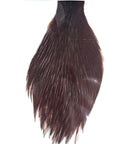 Dark Coachman Fly Tying Cape Neck Australia