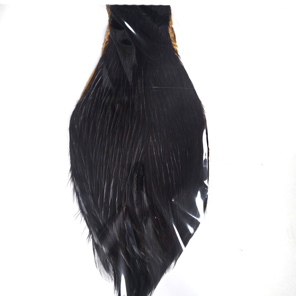 VeryDark Coachman Fly Tying Cape Neck Australia 