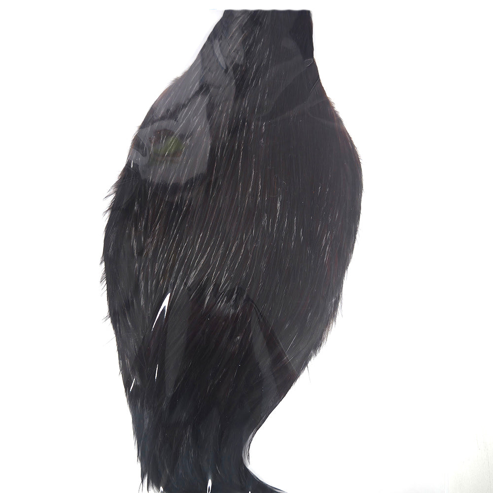 Very Dark Coachman Fly Tying Cape Neck Australia
