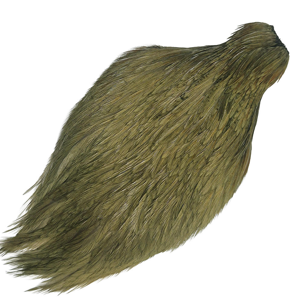 Fly tying hackle Australia Medium Hen Neck - Medium Olive 