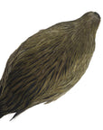 Fly tying hackle Australia Medium Hen Neck - Medium Olive Variant 
