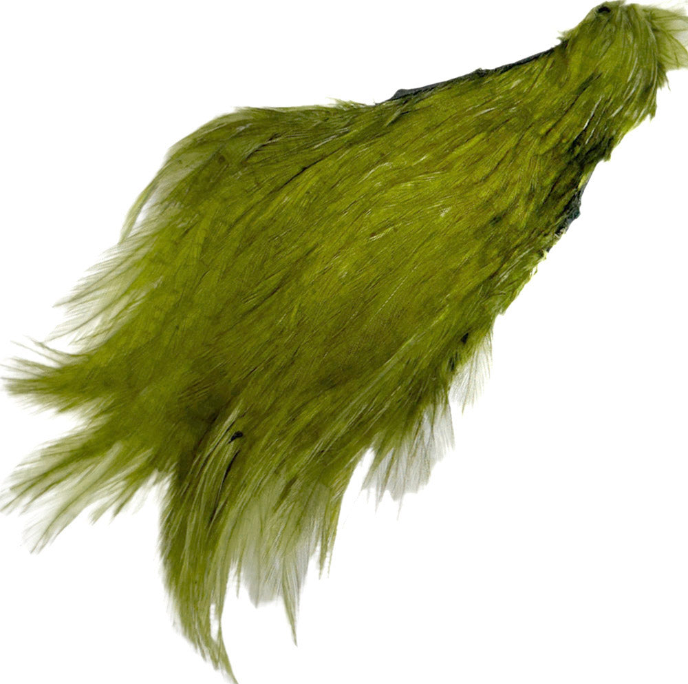 Olive fly tying neck 