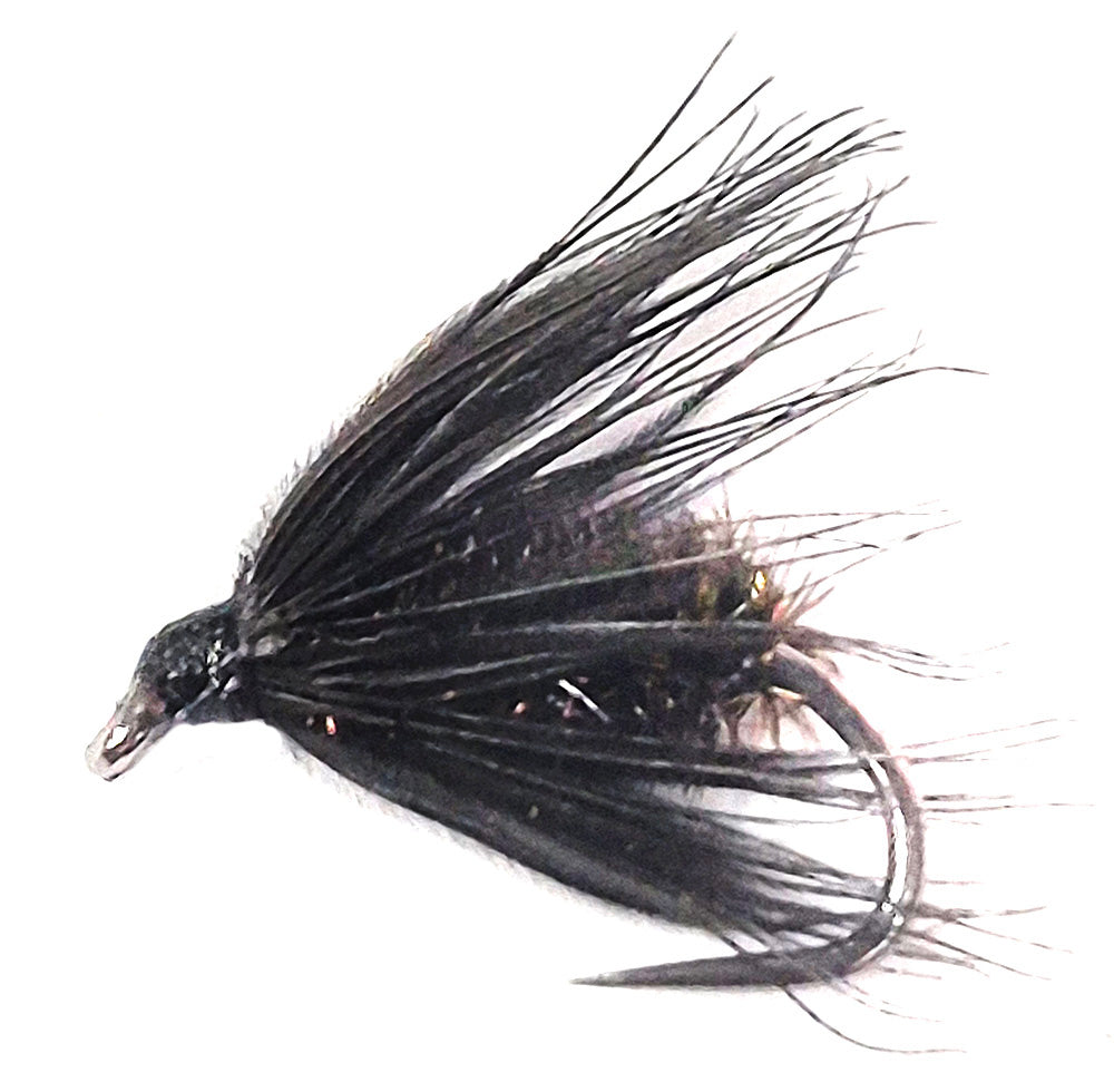 Black and peacock spider tailing trout Tasmania frog feeders