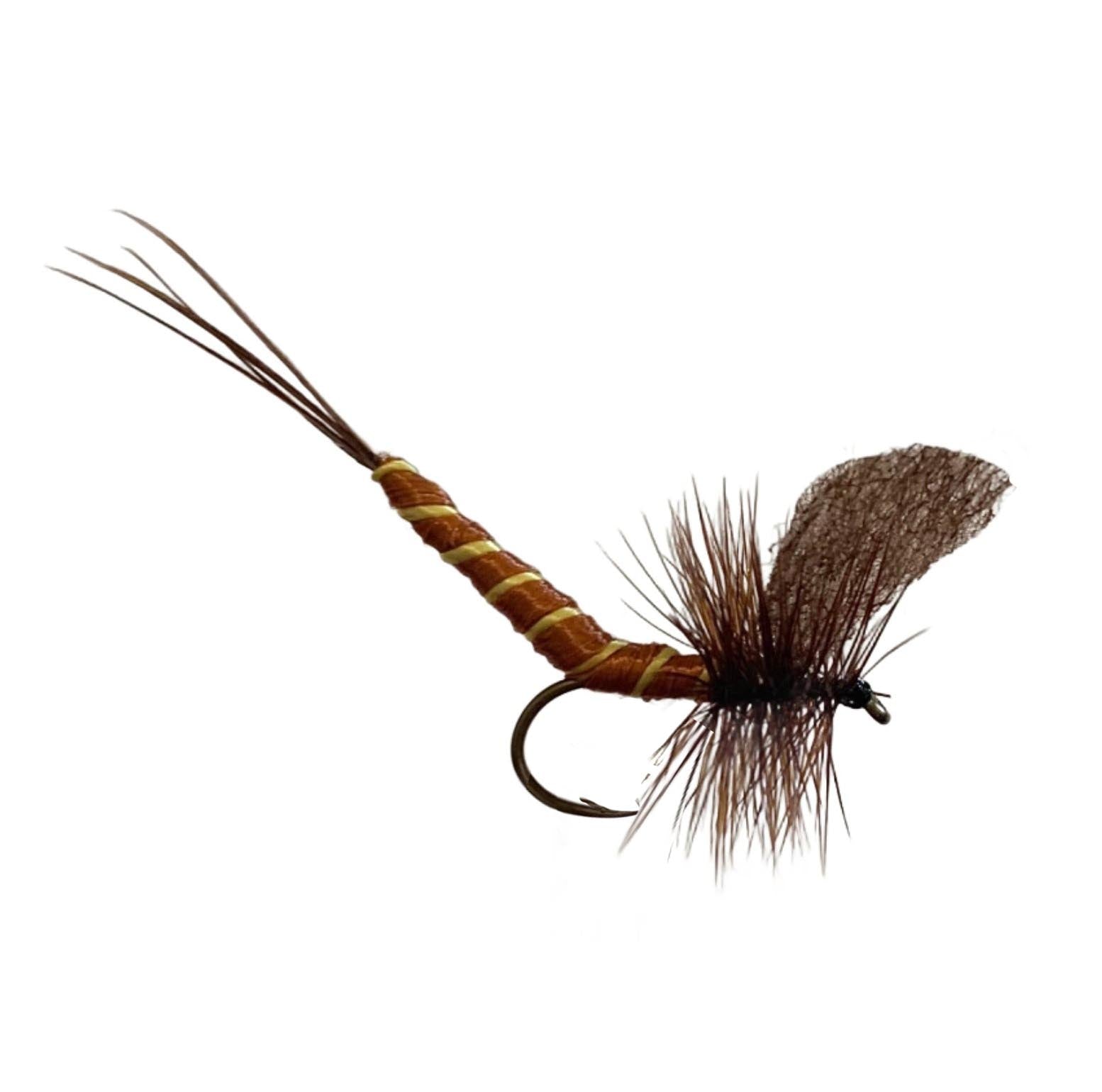 Brown extended body mayfly