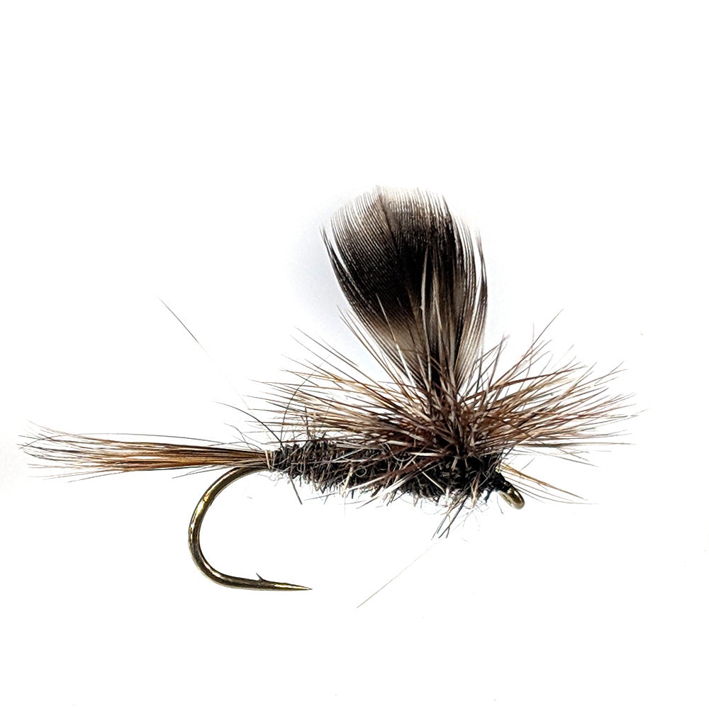 Bushy Emerger Grey dry fly X 6