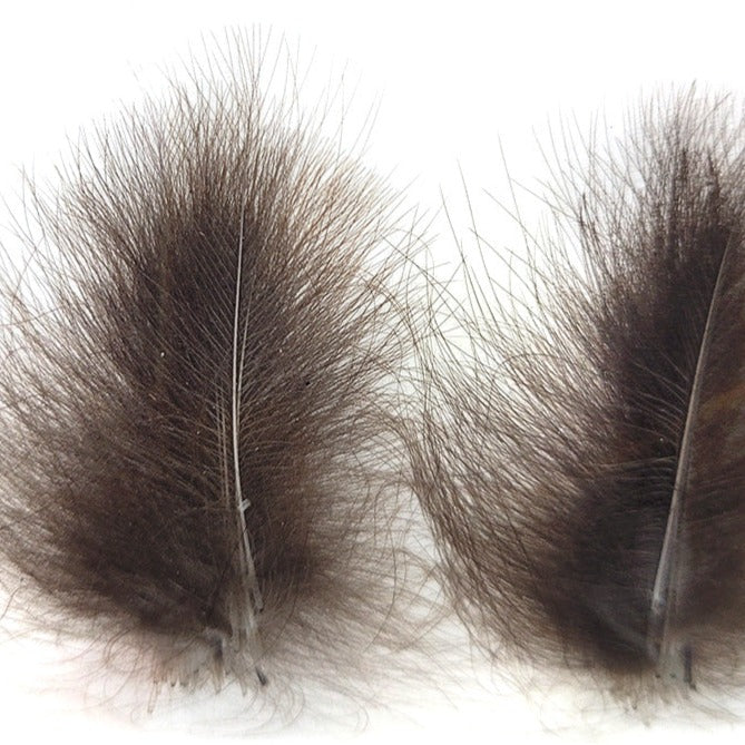 CDC feathers premium quality fly fisher trout flies Australia New Zealand