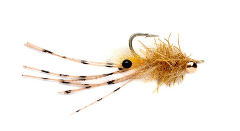 Critter Bug Tan #6 Australia NZ