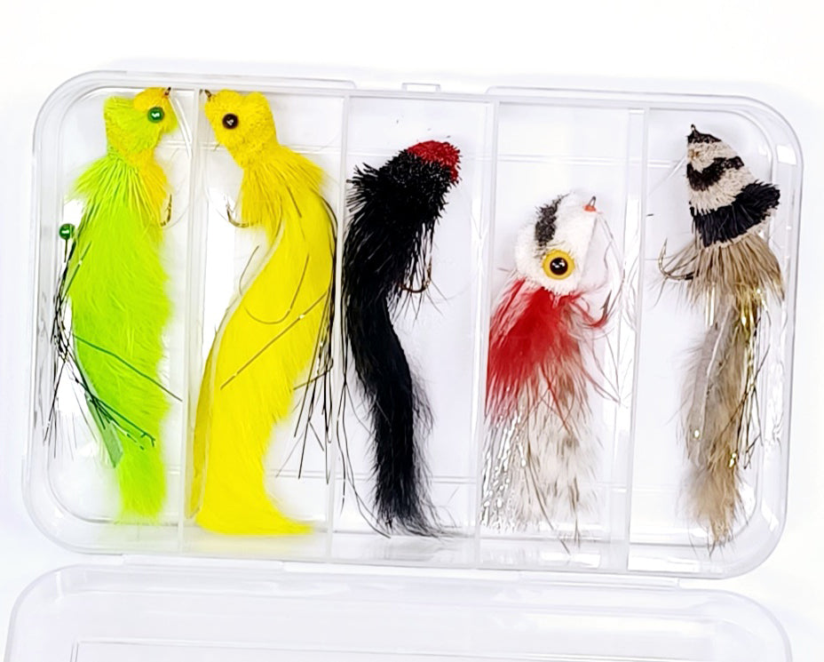 Dahlberg Diver / Cod Native Fly Pack Australia NZ