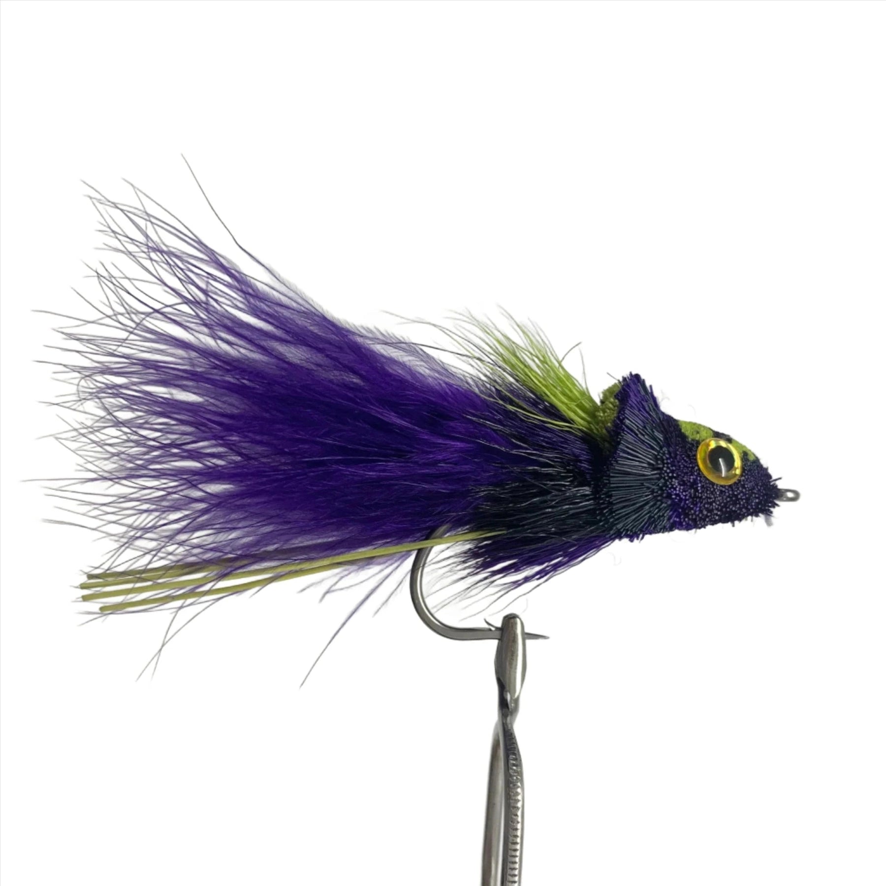 Dahlberg Diver Purple black Australia NZ