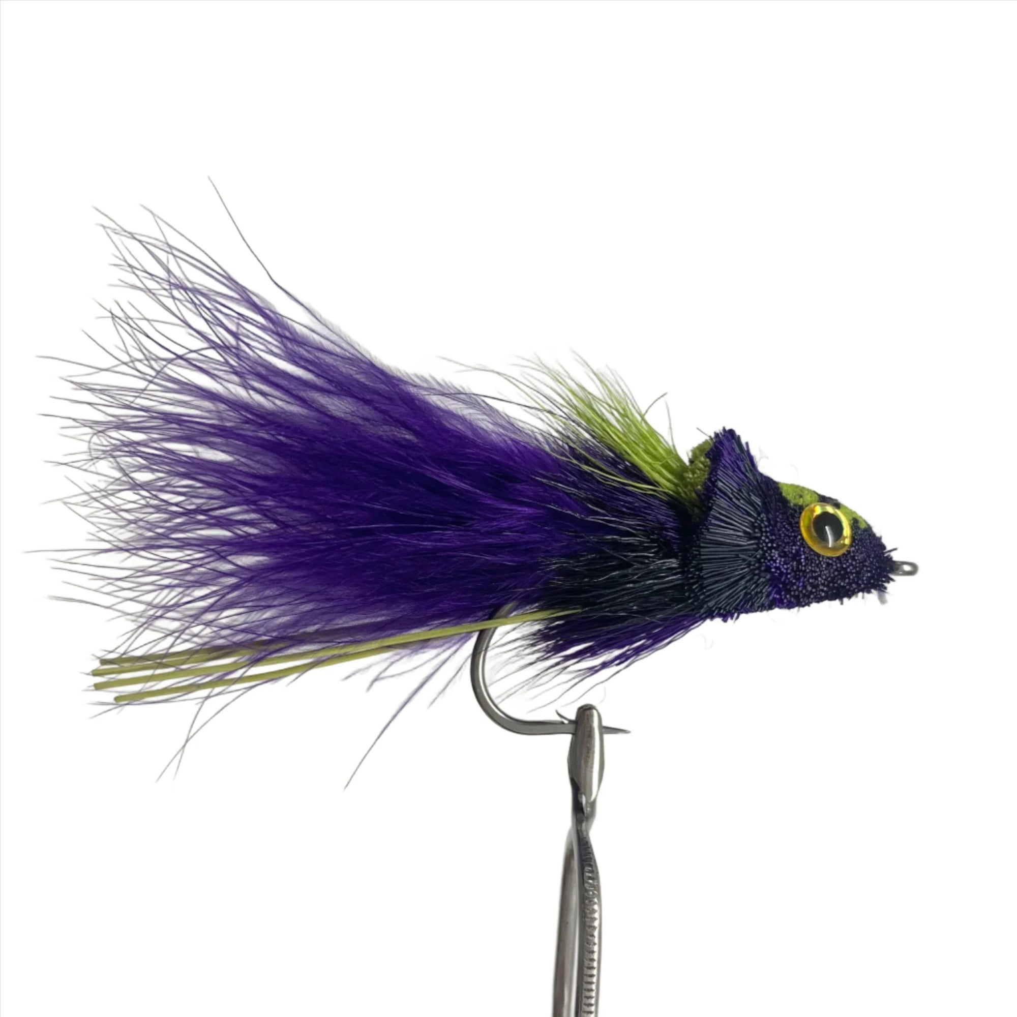 Dahlberg Diver Purple black Australia NZ