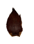 Hackle Varieties Coachman Brown Australia, NZ