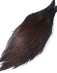 Dark Coachman neck