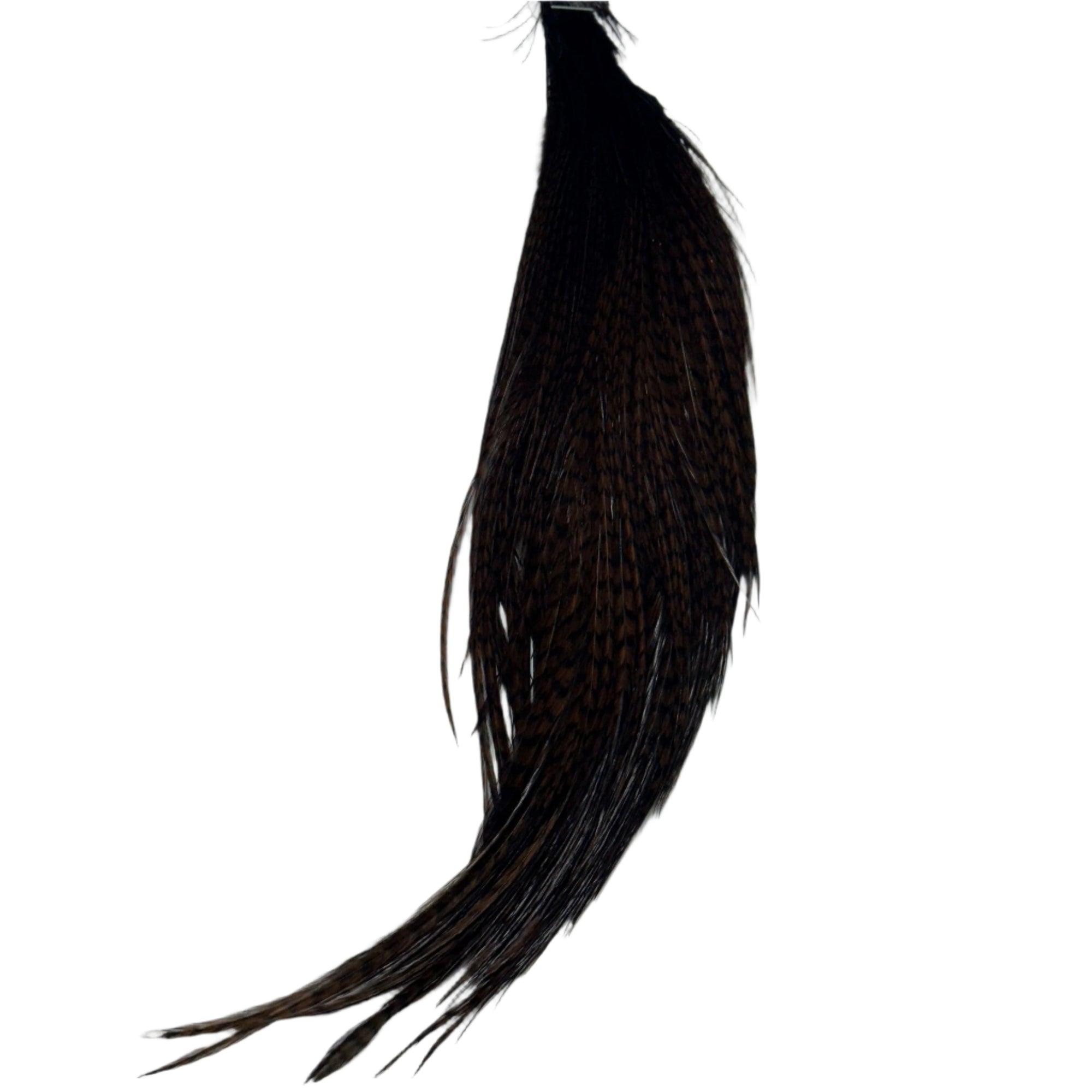 Half Cape Dyed Grizzle Brown Fly Fishing Australia, New Zealand