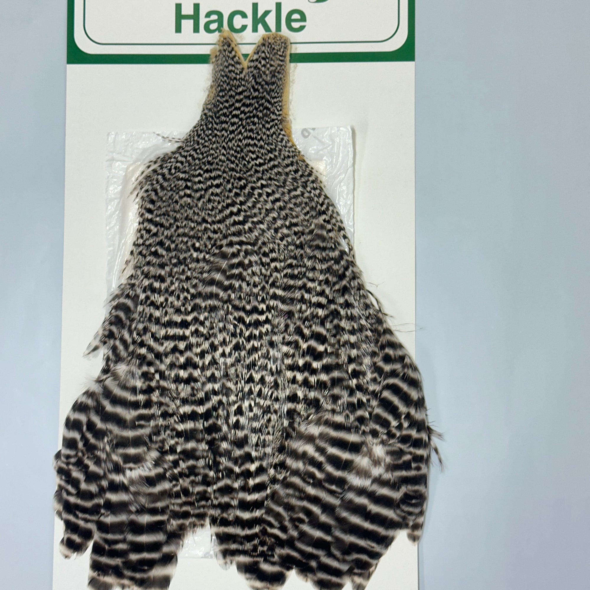 Ewing Hackles Hen Cape Grizzle - Flyfishing Australia, New Zealand 