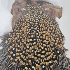 Indian Jungle Cock Cape