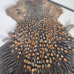 Indian Jungle Cock Cape