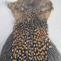 Indian Jungle Cock Cape