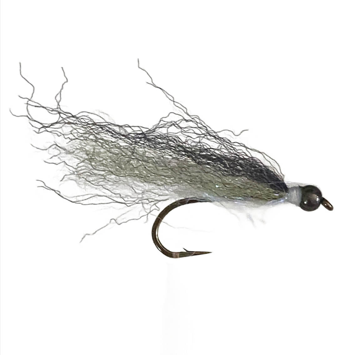 Laser Lazer Minnow smelt Tasmania Australia