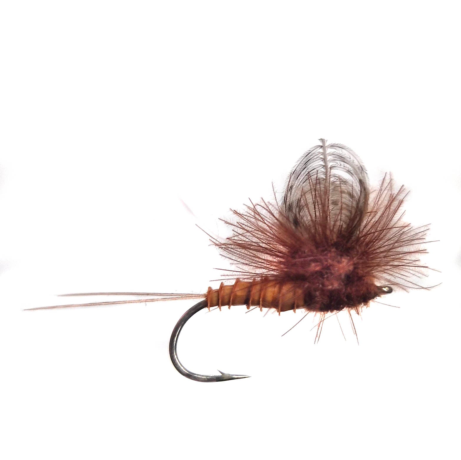 Orange Wonder Dry Fly x 6