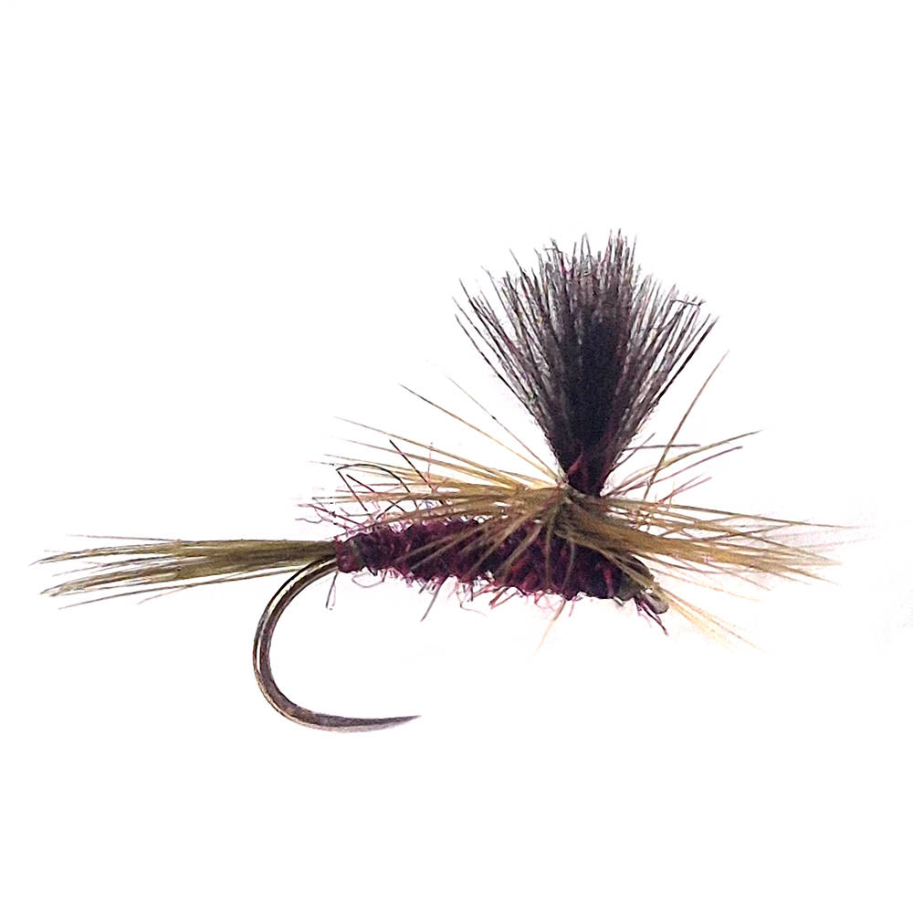 Parachute Claret Olive Emerger Dry Flies X 6