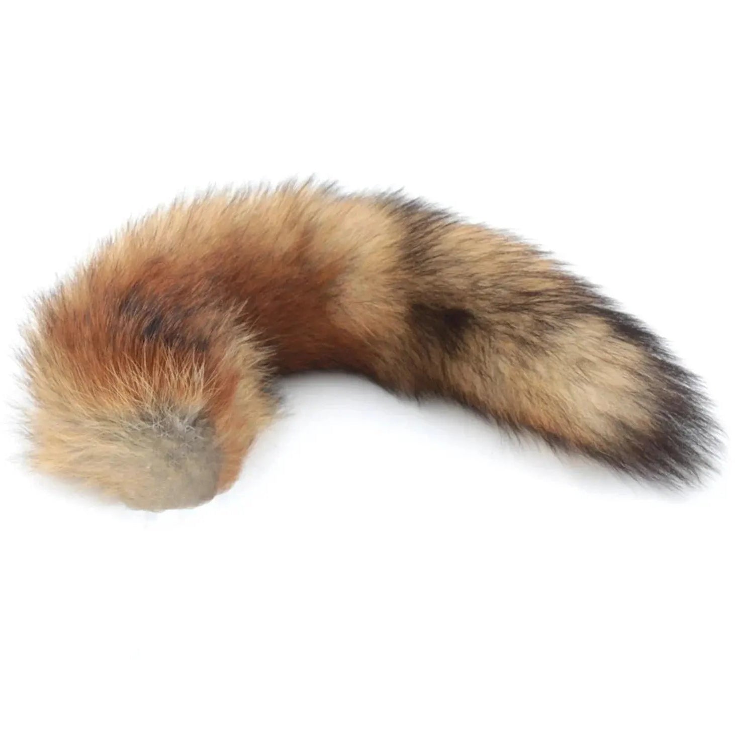 Premium Fox Tail Australia NZ