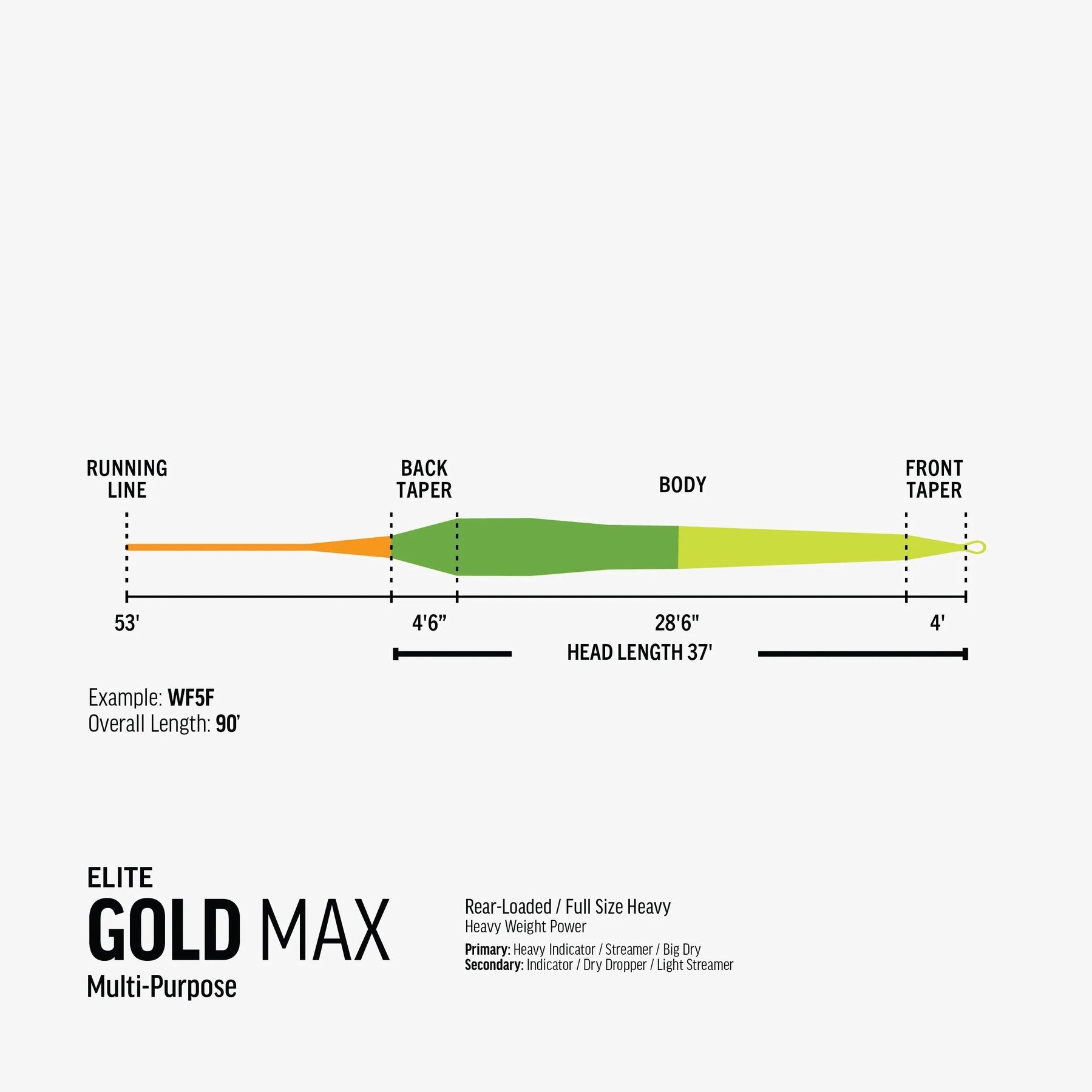 Rio Gold Max Fly Line, Fly Fishing Australia, New Zealand 
