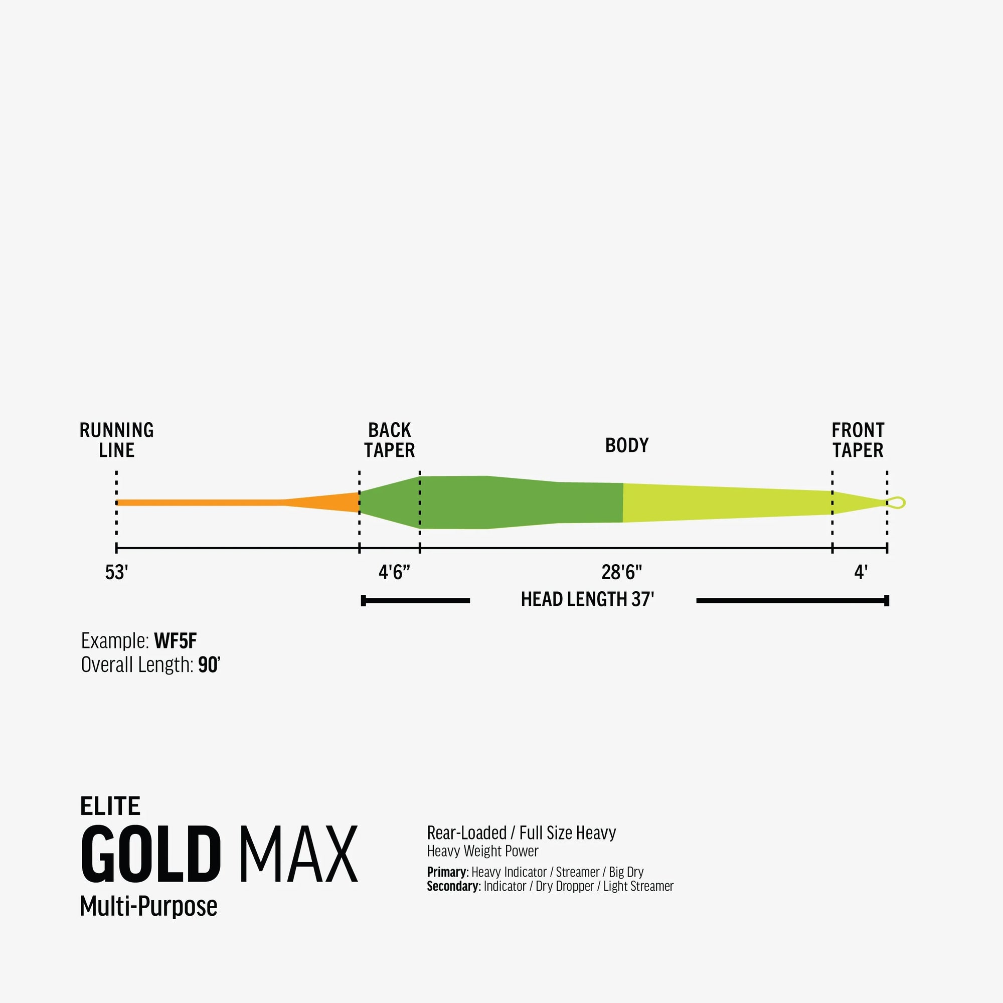 Rio Gold Max Fly Line, Fly Fishing Australia, New Zealand 