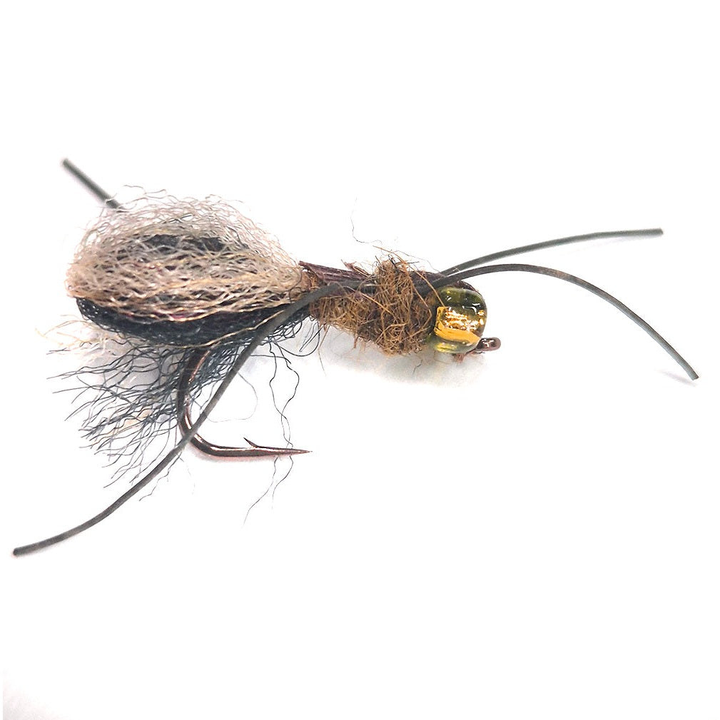 Mudeye - Spider -  - x 6