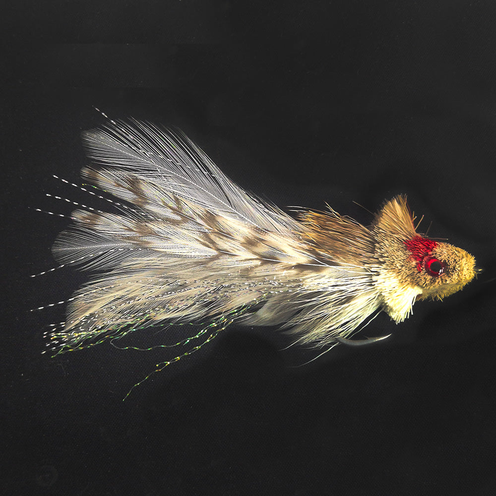 Swimming Baitfish fly Australia