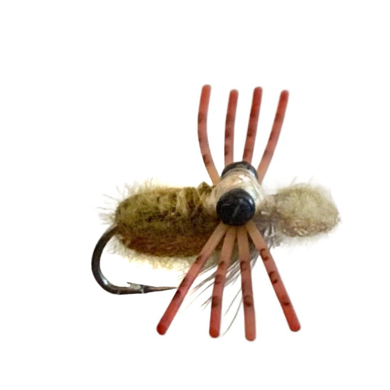 Turneffe Crab Olive Australia 