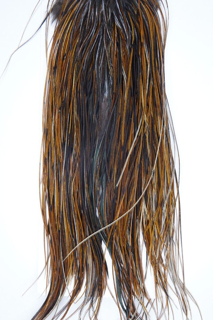 Whiting Dry Fly Saddle Hackle - Bronze Grade Furnace Australia NZ