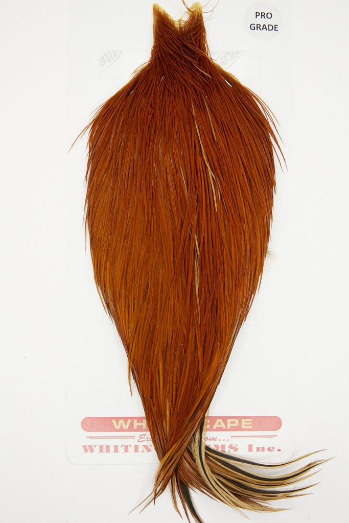 Whiting Dry Fly cape Hackle - Pro Grade White Dyed Brown Australia NZ