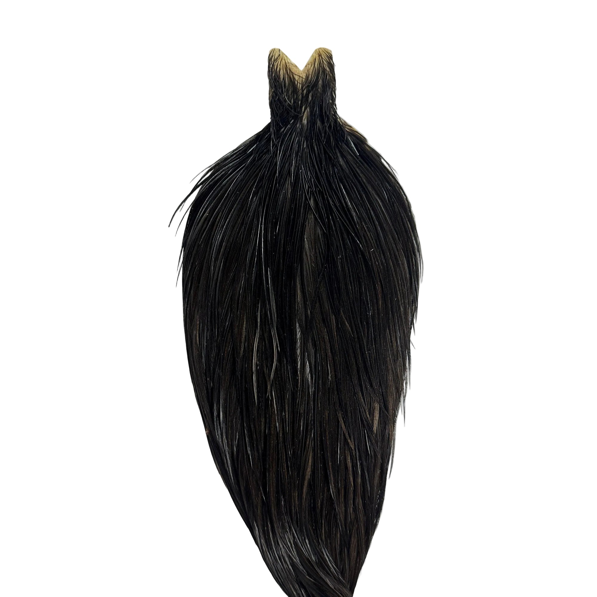 Whiting Hebert Dry Fly Cape Hackle - Pro Grade Black, Australia, NZ