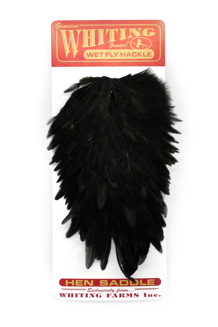 Whiting Hen Saddle Black Austraia Nz