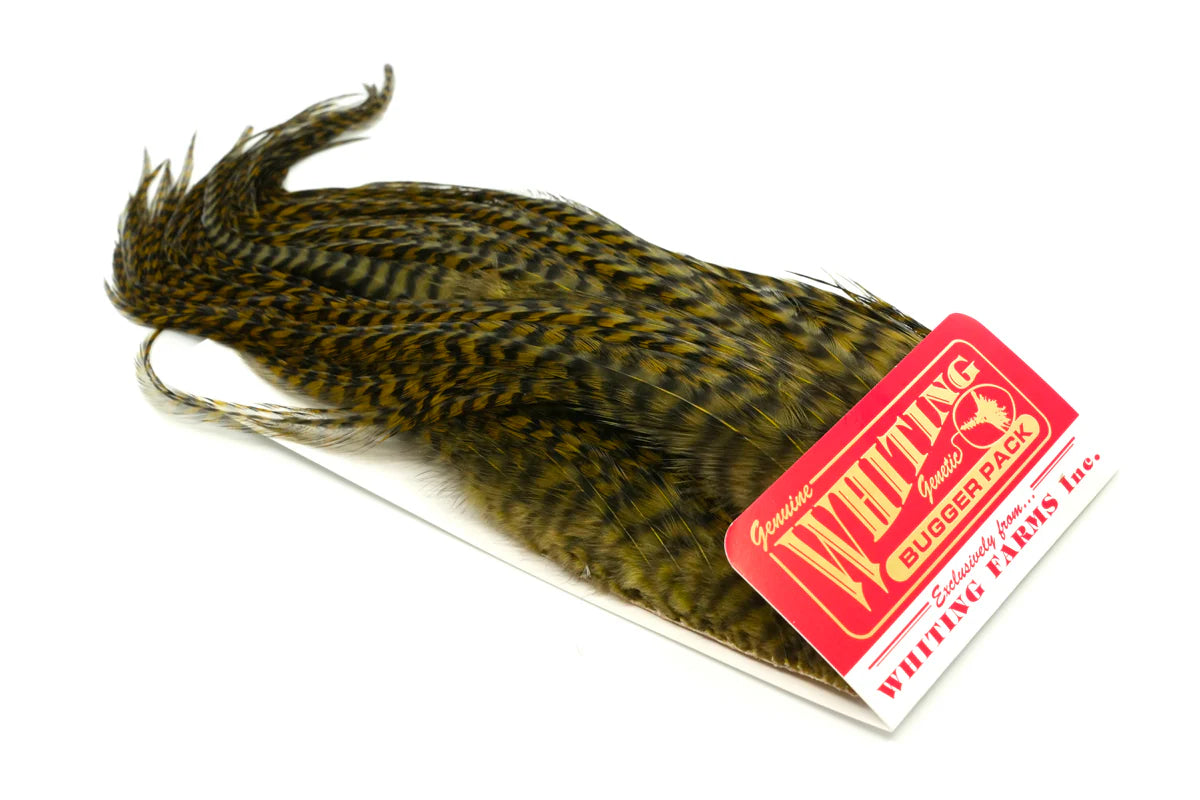 Whiting Bugger Pack Australia, New Zealand