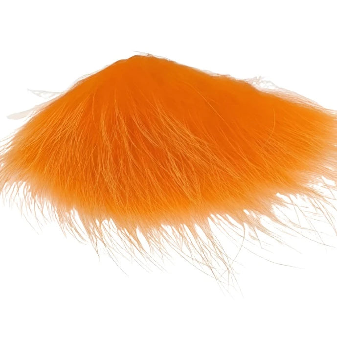 arctic finn raccoon Orange