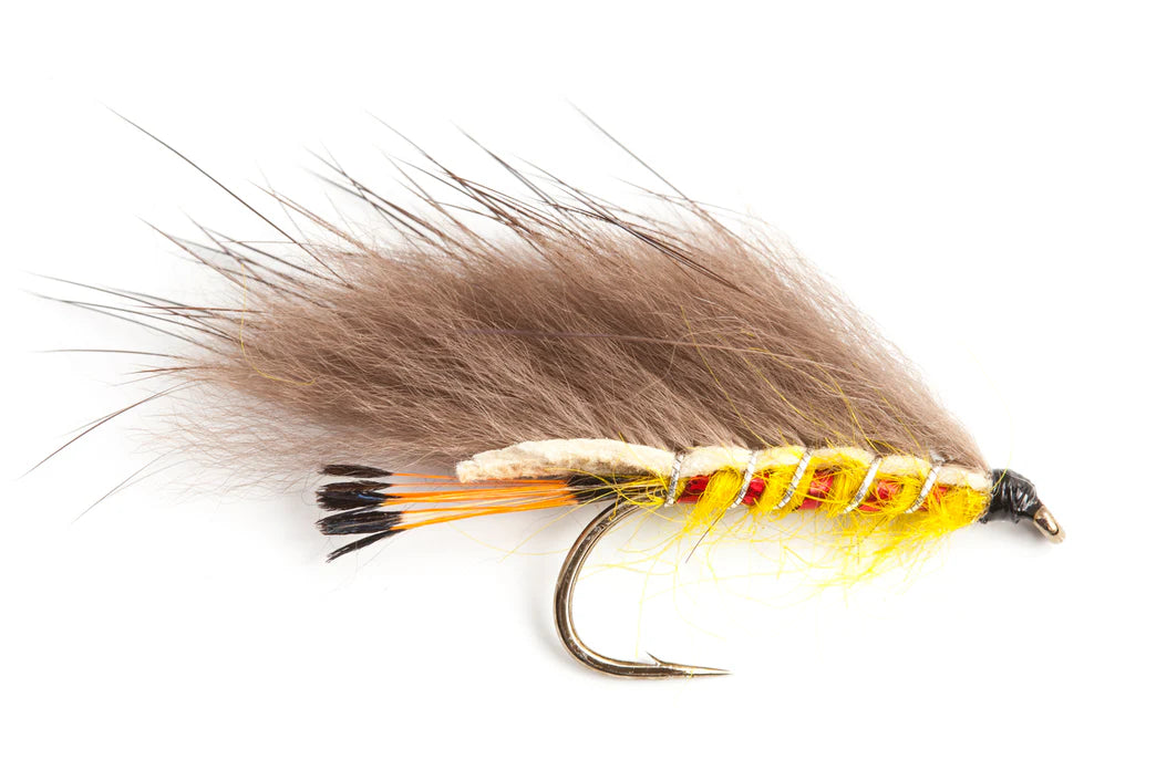 Bill Beck Lurex Cat Tasmania Australia NZ