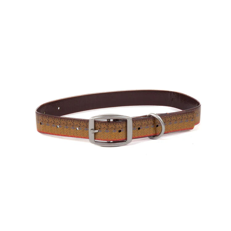 Fishpond Dog Collar Brown Trout, Fly Fishing Australia, New Zealand 