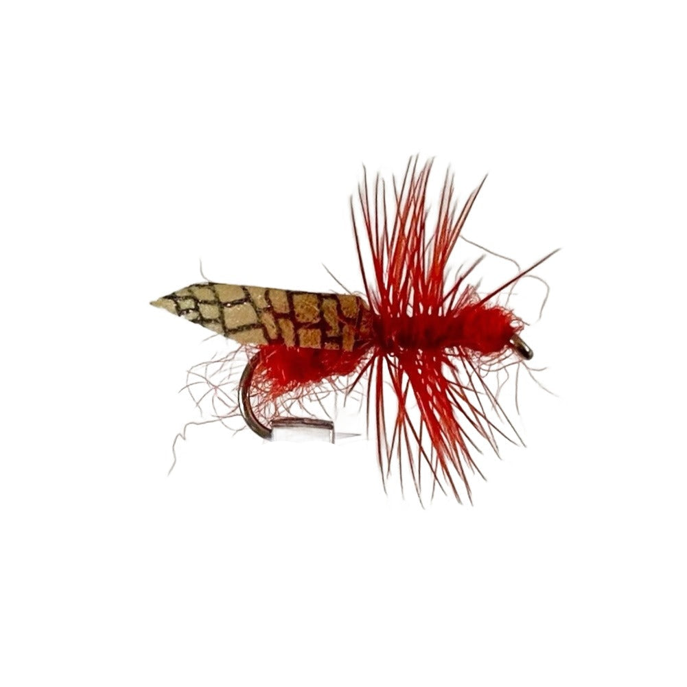 Fly Fishing Dry Fly Best Australia Tasmania New Zealand Fly Red Ant