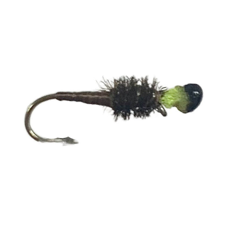 Fly Fishing Dry Fly Best Australia New Zealand Tasmania Nymph Unweighted peeping stick caddis
