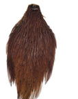 Coachman neck hackle Australia NZ