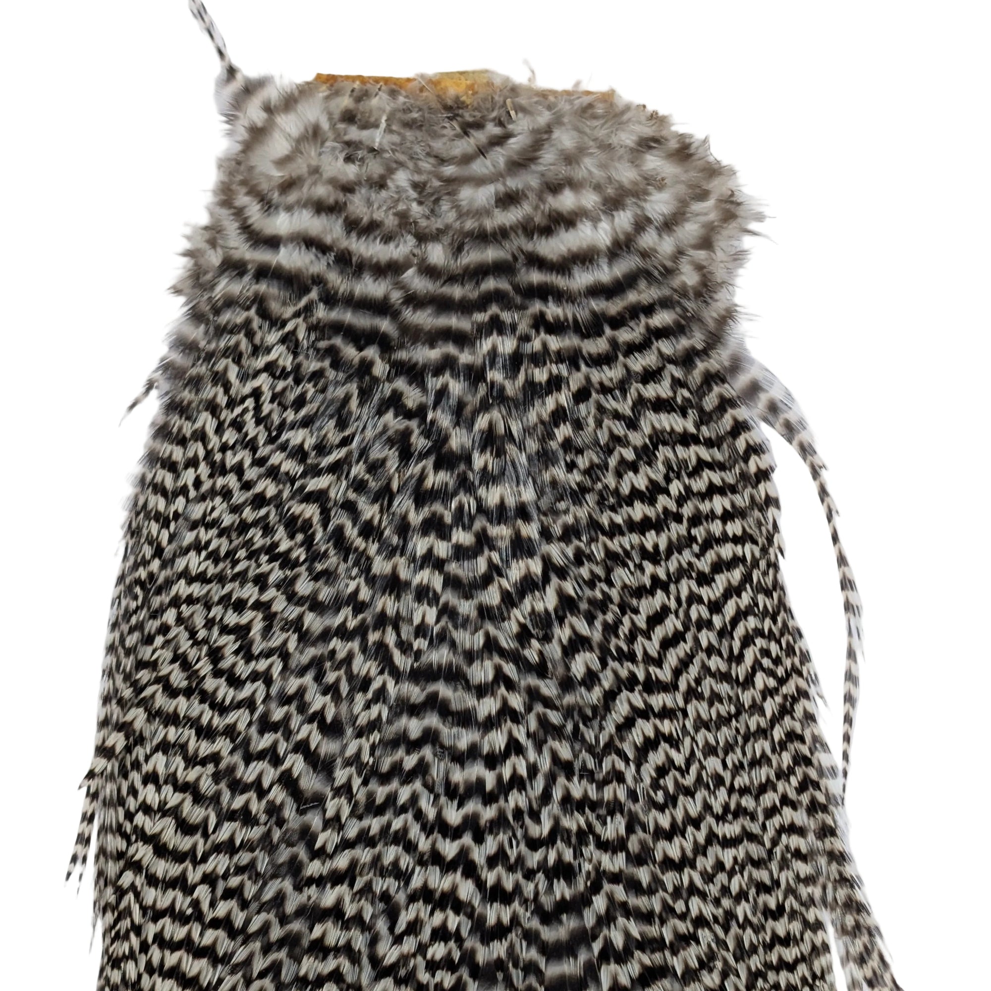 Large Grizzly Fly Tying Cape Neck Australia 