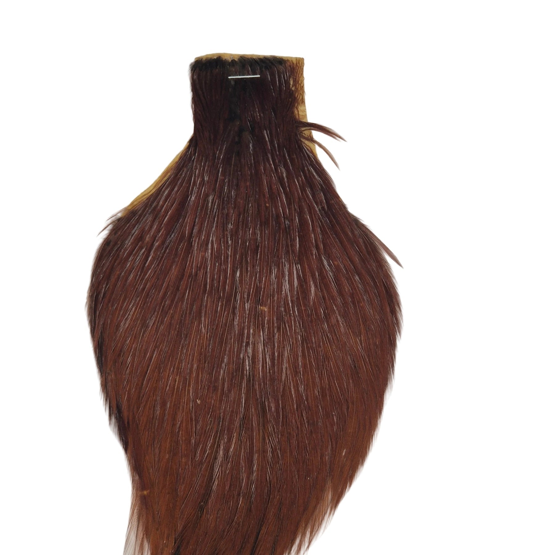 Brown neck hackle Australia NZ