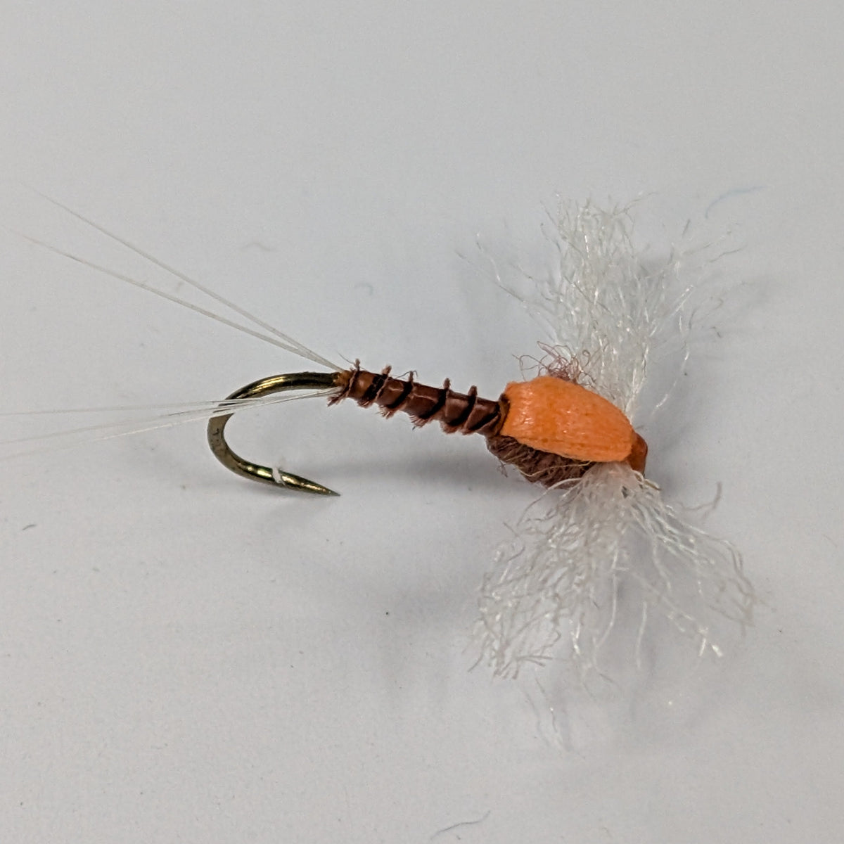 Quill Body Spinner Rusty Australia NZ