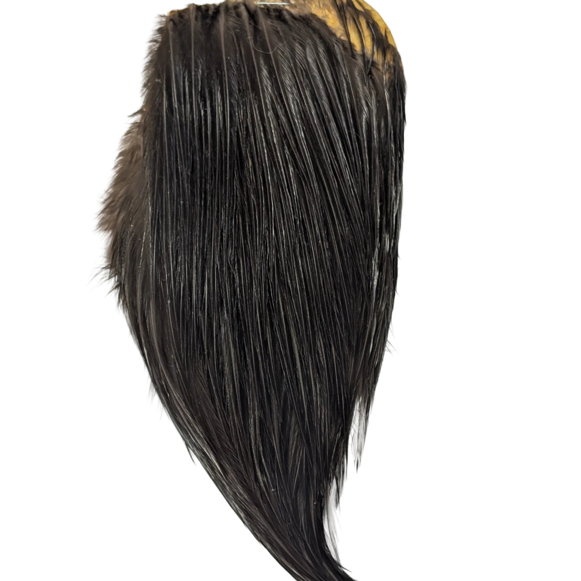 Black neck hackle Australia NZ