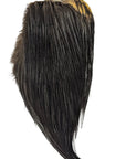 Black neck hackle Australia NZ