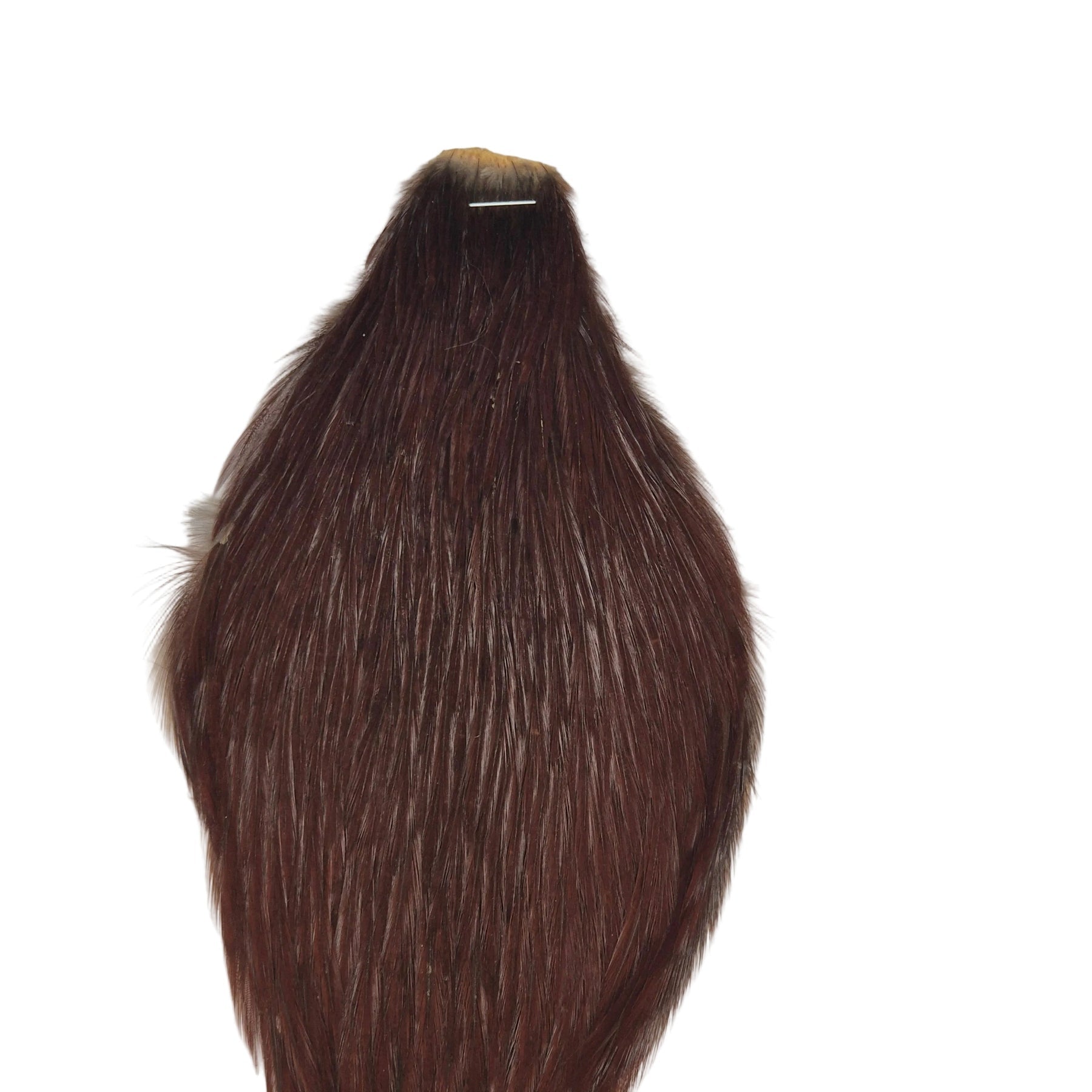 Brown cape hackle Australia NZ