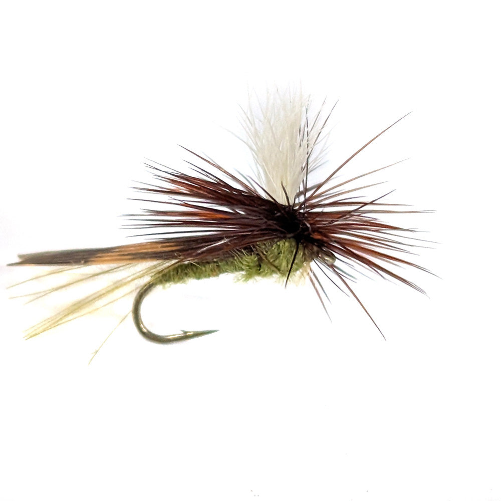Parachute olive caddis fly Tasmania Australia
